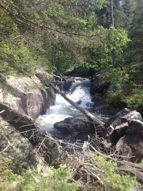 The falls at the first portage