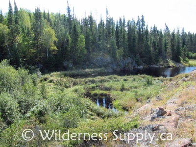 Beaver dam crossing