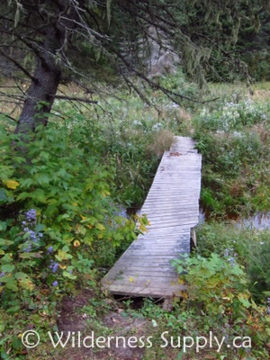 Wooden bridge