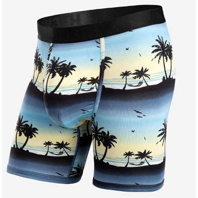 Wilderness Supply - BN3TH Mens Classic Boxer Brief Print